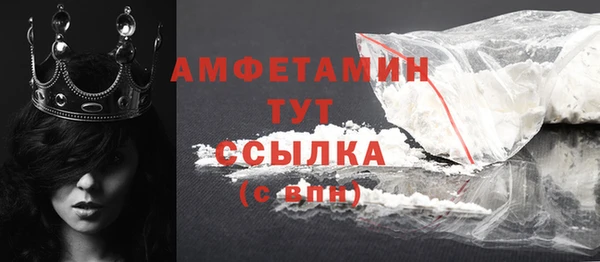 крисы Новозыбков