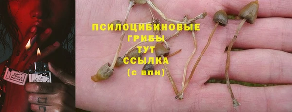 мескалин Абаза