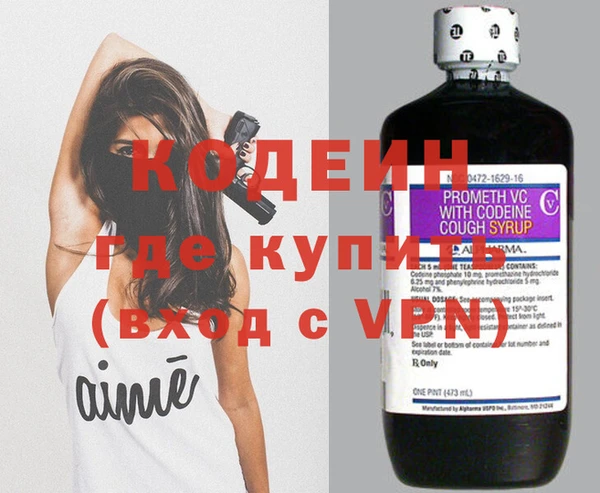 крисы Новозыбков